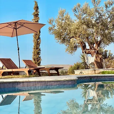 Sunny Place 3*